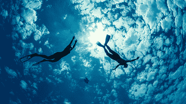 Sharing the Love for Diving: Building Community and Connections Through the Sport