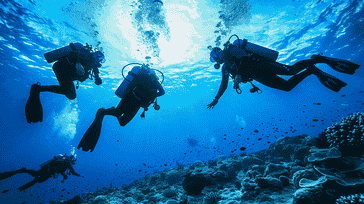 Solo vs. Group Dives: Choosing Your Diving Experience